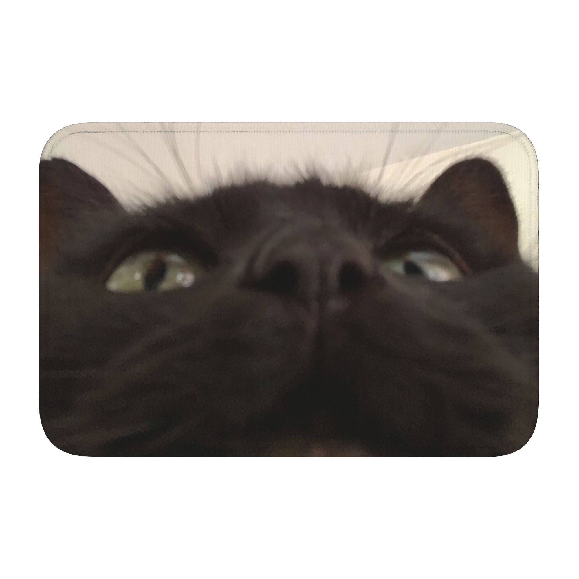 Cat Looking Directly At You at – обзор и цена Home Textiles Direct